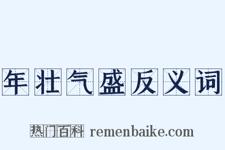 年壮气盛反义词是什么意思的图片